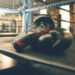 Behind the Basics of Boxing Programming