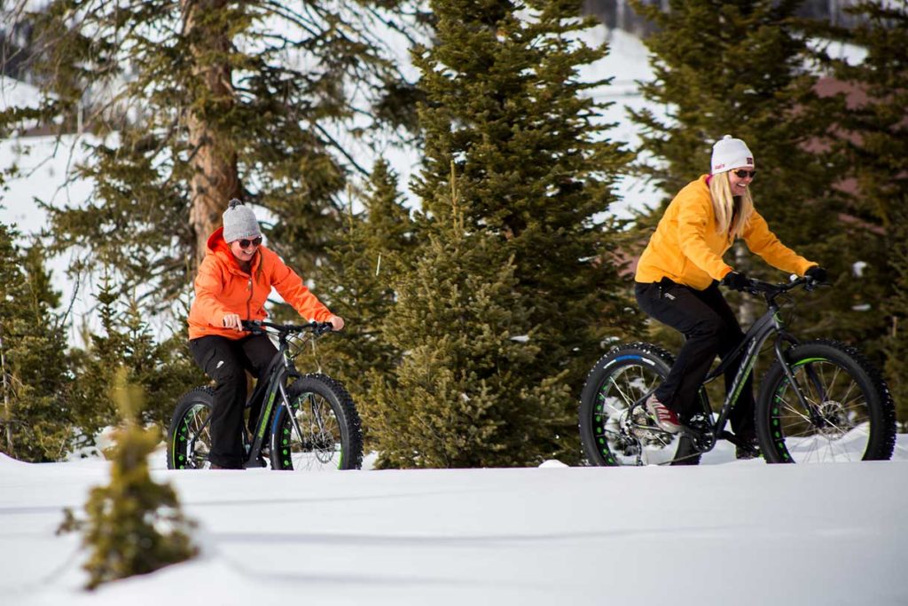 Winter recreation, fat biking group.