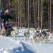 winter recreation