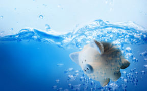 aquatics budgeting